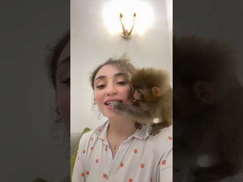 لسى مالقيتلا اسم