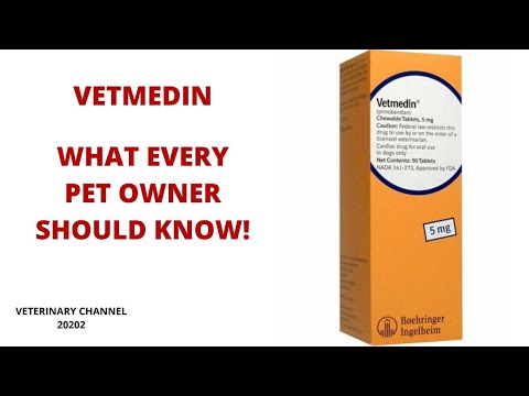 فيديو: Vetmedin - قائمة الأدوية والوصفات الطبية للحيوانات الأليفة والكلاب والقط