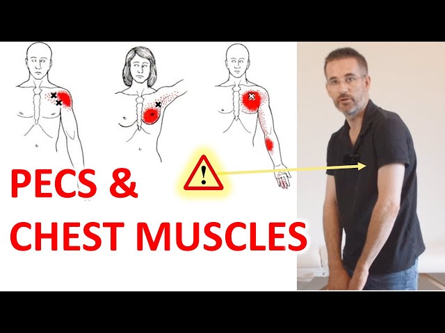 How to Stretch Your Chest  How to Fix Rounded Shoulders 