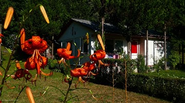 Zhiyun Crane M & Panasonic Lumix TZ100   Varfuri 2017