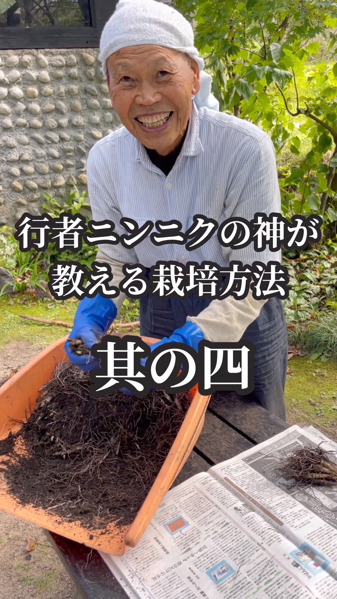行者ニンニク肥料と追肥時期！長野県大町市キハダ飴本舗古川さんに聞い