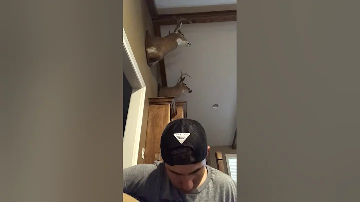 Whiskey Glasses