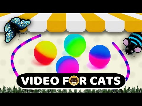 CAT GAMES - Catch the Rolling Ball, Mice, Strings, Butterflies, Chipmunks, Squirrels | CAT & DOG TV.