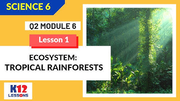 Science 6 Quarter 2 Module 6 Lesson 1 - Ecosystem: Tropical Rainforests