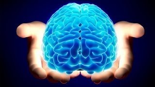 Discovery Science Channel - The Human Brain | HD Documentary