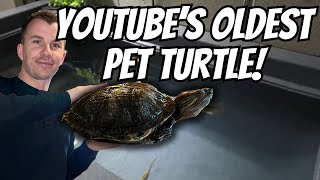 YOUTUBES OLDEST PET TURTLE | WATCH BEFORE YOU BUY A TURTLE!!!