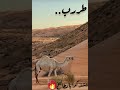 عليك الفرج يلي لك الحمد والتكبير محمد آل دبلج بدون ايقاع 