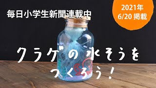 「クラゲの水そうをつくろう！」｜毎日小学生新聞・2021年6月20日掲載