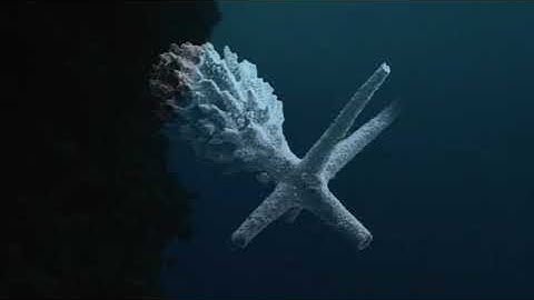 Sponge Animation - Spicules