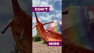 Don't Miss Vivid Creatures!