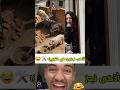 أدينا لكم مقاولين جدد شوفوا صدمتي من شغلهم Shorts Shorts2026 Fun 