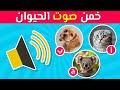 هل يمكنك تخمين صوت الحيوان تحدي أصوات الحيوانات للأذكياء فقط