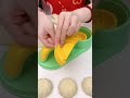 Video Image