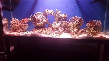 Lámparas de led programadas con arduino