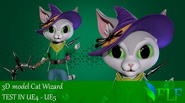 Cat Wizard Test Epic Skeleton In UE4 UE5