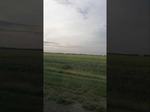 #россия #омск #родина #русский #истина #русскоеполе #душевноевидео #ностальгия #сибирь #мудрость