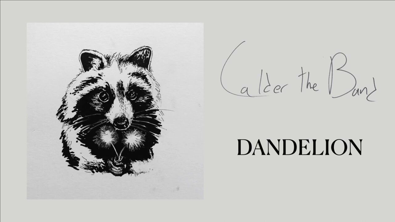 Watch Calder the Band - Dandelion (Official Audio) on YouTube Watch Calder the Band - Dandelion (Official Audio) on YouTube