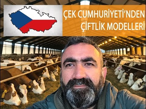 Çek Cumhuriyeti'nde Farklı Çiftlik Modelleri