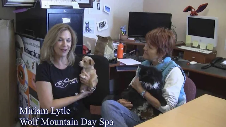 Wolf Mountain Day Spa Helping The Grass Valley Com...