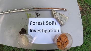 Forest Soils Investigation
