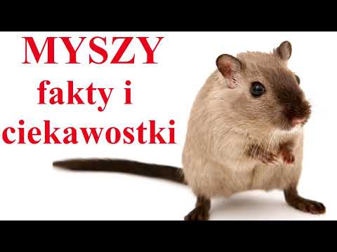 Wideo: Czy zero wody to to samo co woda destylowana?