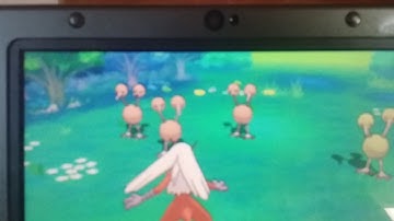 Shiny doduo reclaim after a year