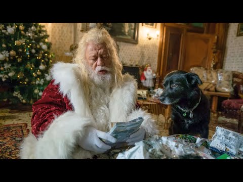 Пёс пропал перед Рождеством… 🎬 Полный фильм на русском