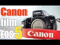 【フィルムカメラ・作例あり】文句なしのオールラウンダー Canon EOS5 の使い方、フィルムの入れ方含めてレビュー！