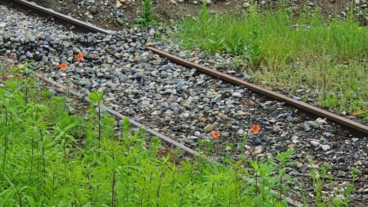 Fahrweg Berechnen - www.inf-inet.com