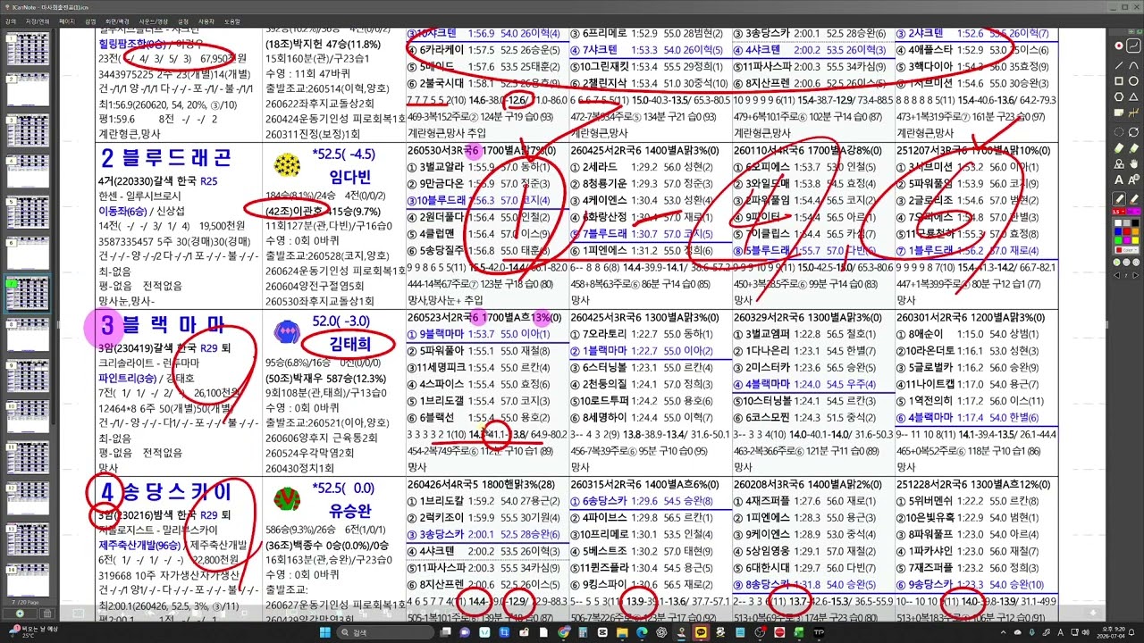 7월5일 서울 일요경마