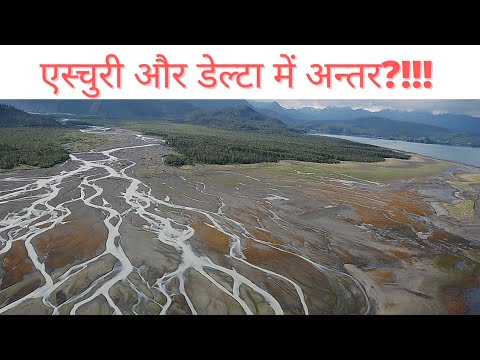 वीडियो: एक्चुअरी कौन होते हैं और क्या करते हैं?