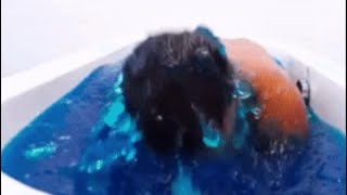 Jello Bath 24 Hour Challenge