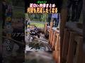 何度も見返したくなるTOP5(Part.2)