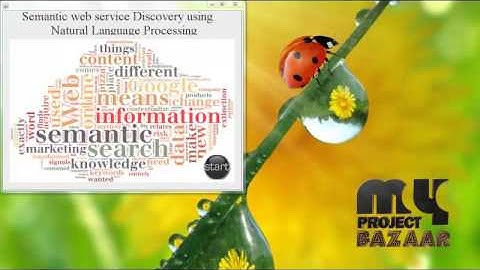 Final Year Projects| Semantic Web service discovery using natural language processing