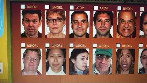 Let’s play Fetch: with ruff ruffman: C.S.I 2