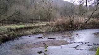 Dalby Forest Nature Play Space - Week One - Designed Wild By Davies White Landscape Architects