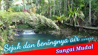 Sejuk Dan Beningnya Air Sungai Mudal
