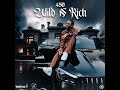 450 - Wild N Rich (Official Audio)