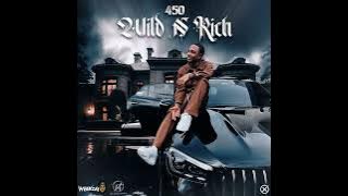 450 - Wild N Rich