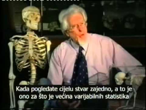 PALEOANTROPOLOGIJA OBJEKTIVNO - Nema fosilnog dokaza da su ljudi nastali evolucijom iz životinja