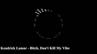 Kendrick Lamar - Bitch, Don't Kill My Vibe (Bass Boosted)