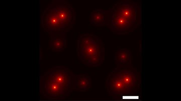 High-Resolution atoms images with Electron Ptychography