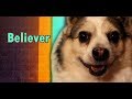 Imagine Doggos - Believer