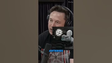 Joe Rogan | Elon Musk Exploring Neuralink