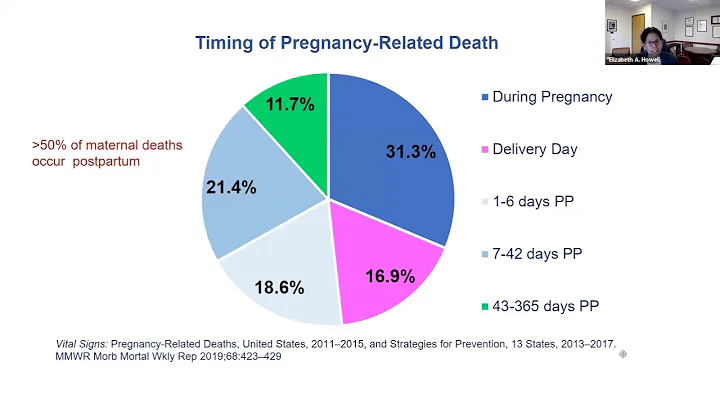 The U.S. Maternal Health Care Crisis by Elizabeth ...