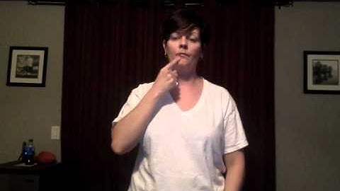 Lesson 8 Expressive Mid-Term