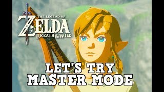 Let's Talk About Breath of the Wild's MASTER MODE