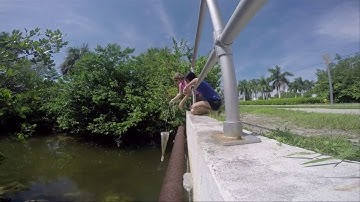Plankton Sampling Video