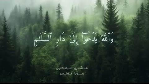 (والله يدعواْ إلى دار السلام) - من سورة يونس | مشاري العكيل