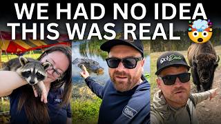 European Tourists Were SHOCKED By America’s INSANE Wildlife